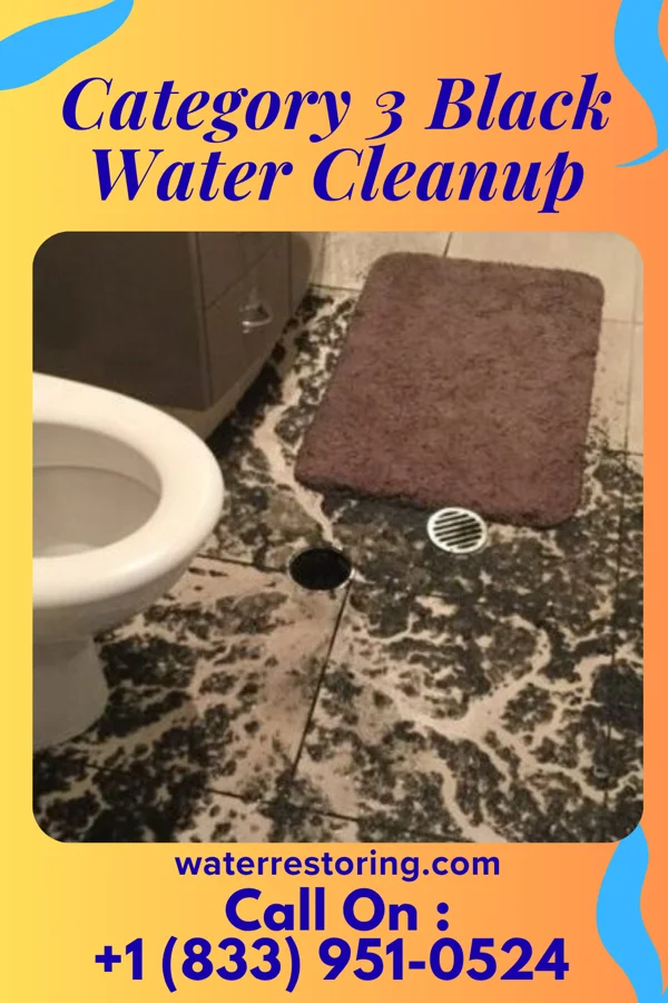 Category 3 Black Water Cleanup in Heckscherville, PA