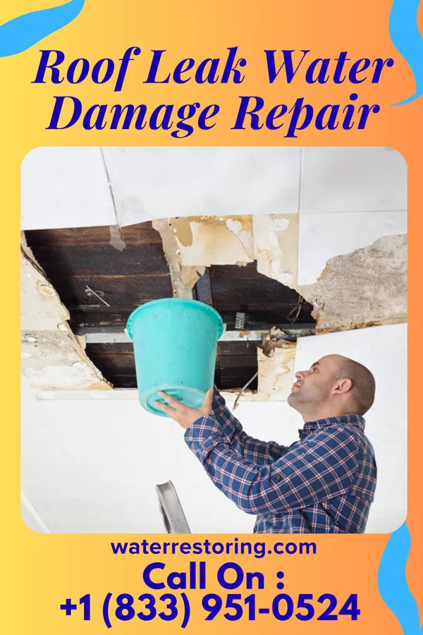 Roof Leak Water Damage Repair in Heckscherville, PA