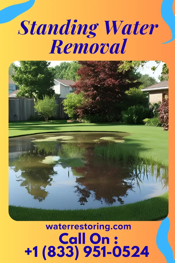 Standing Water Removal in Heckscherville, PA